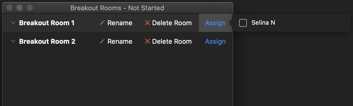Assign Breakout Rooms Manually
